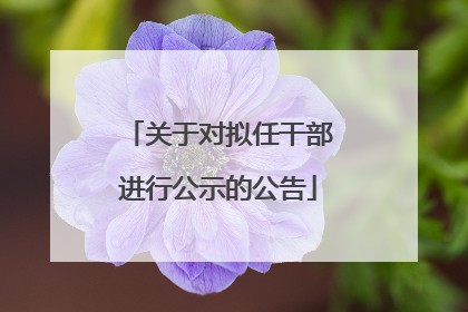 关于对拟任干部进行公示的公告