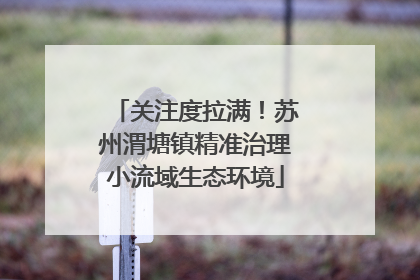 关注度拉满！苏州渭塘镇精准治理小流域生态环境