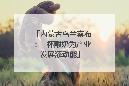 内蒙古乌兰察布：一杯酸奶为产业发展添动能