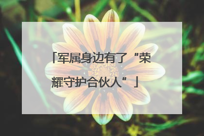 军属身边有了“荣耀守护合伙人”