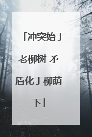 冲突始于老柳树 矛盾化于柳荫下