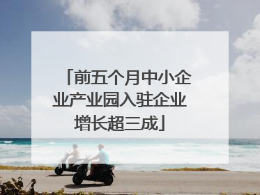前五个月中小企业产业园入驻企业增长超三成