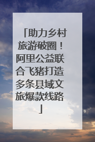 助力乡村旅游破圈！阿里公益联合飞猪打造多条县域文旅爆款线路