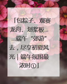 包粽子、观赛龙舟、划桨板……端午“郊游”去，尽享初夏风光｜端午氛围最浓时①