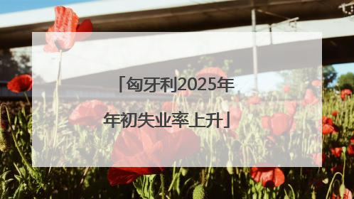 匈牙利2025年年初失业率上升
