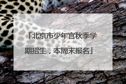北京市少年宫秋季学期招生，本周末报名