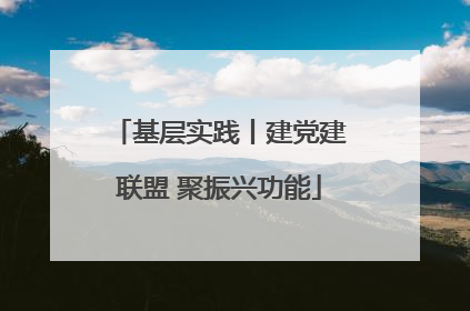 基层实践丨建党建联盟 聚振兴功能