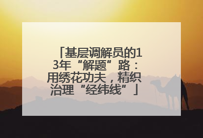 基层调解员的13年“解题”路：用绣花功夫，精织治理“经纬线”