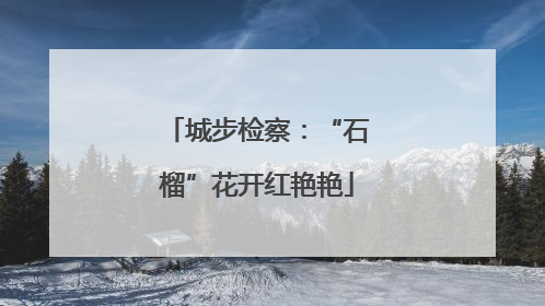城步检察：“石榴”花开红艳艳