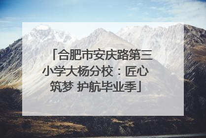 合肥市安庆路第三小学大杨分校：匠心筑梦 护航毕业季