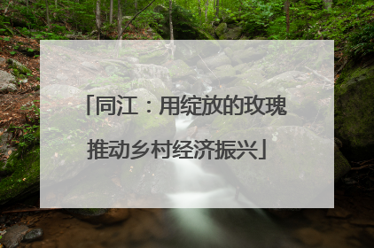 同江：用绽放的玫瑰 推动乡村经济振兴