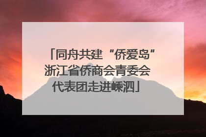 同舟共建“侨爱岛” 浙江省侨商会青委会代表团走进嵊泗
