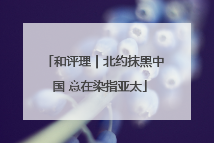 和评理｜北约抹黑中国 意在染指亚太