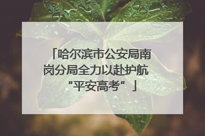 哈尔滨市公安局南岗分局全力以赴护航“平安高考”