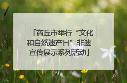 商丘市举行“文化和自然遗产日”非遗宣传展示系列活动