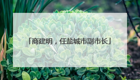 商建明，任盐城市副市长