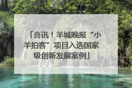 喜讯！羊城晚报“小羊拍客”项目入选国家级创新发展案例
