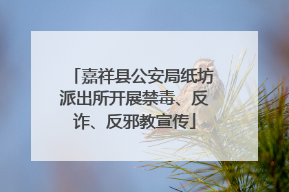 嘉祥县公安局纸坊派出所开展禁毒、反诈、反邪教宣传