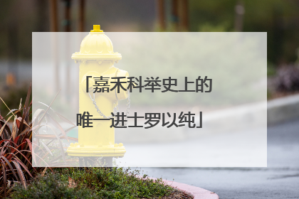 嘉禾科举史上的唯一进士罗以纯
