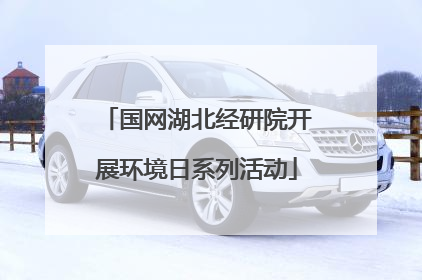 国网湖北经研院开展环境日系列活动