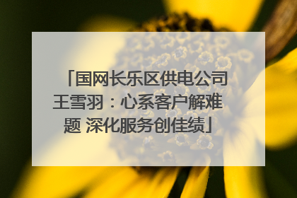 国网长乐区供电公司王雪羽：心系客户解难题 深化服务创佳绩