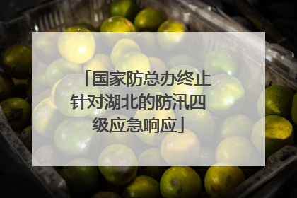 国家防总办终止针对湖北的防汛四级应急响应