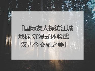 国际友人探访江城地标 沉浸式体验武汉古今交融之美
