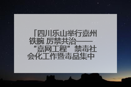 四川乐山举行嘉州铁腕 厉禁共治——“嘉网工程”禁毒社会化工作暨毒品集中销毁启动仪式