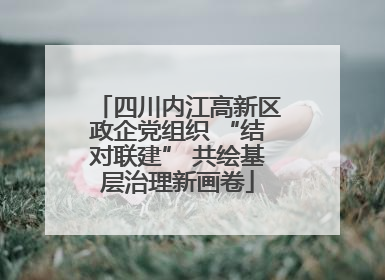 四川内江高新区政企党组织 “结对联建” 共绘基层治理新画卷