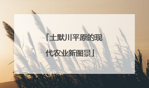 土默川平原的现代农业新图景
