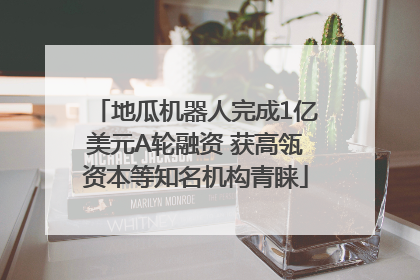 地瓜机器人完成1亿美元A轮融资 获高瓴资本等知名机构青睐