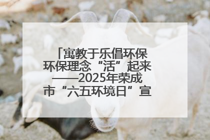 寓教于乐倡环保 环保理念“活”起来——2025年荣成市“六五环境日”宣传活动圆满举行