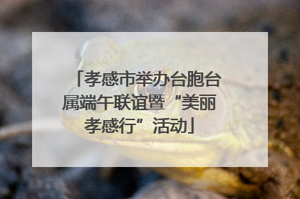 孝感市举办台胞台属端午联谊暨“美丽孝感行”活动