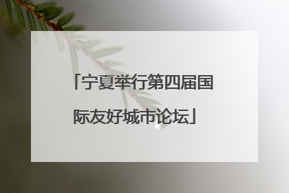 宁夏举行第四届国际友好城市论坛