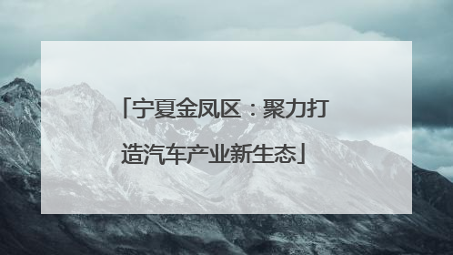 宁夏金凤区：聚力打造汽车产业新生态