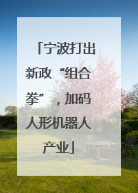 宁波打出新政“组合拳”，加码人形机器人产业