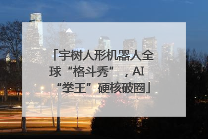 宇树人形机器人全球“格斗秀”，AI“拳王”硬核破圈