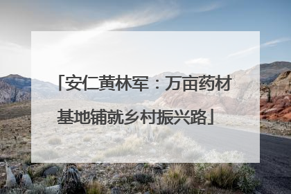 安仁黄林军：万亩药材基地铺就乡村振兴路