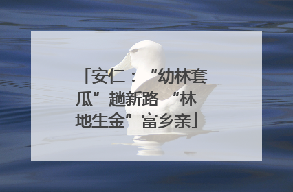 安仁：“幼林套瓜”趟新路 “林地生金”富乡亲