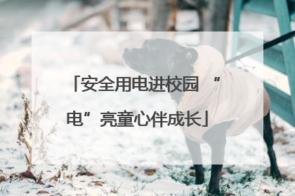安全用电进校园 “电”亮童心伴成长