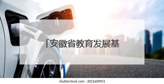 安徽省教育发展基金会留守儿童和困境儿童关爱项目启动