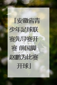 安徽省青少年足球联赛先导赛开赛 前国脚赵鹏为比赛开球