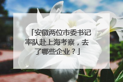 安徽两位市委书记率队赴上海考察，去了哪些企业？