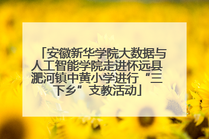 安徽新华学院大数据与人工智能学院走进怀远县淝河镇中黄小学进行“三下乡”支教活动