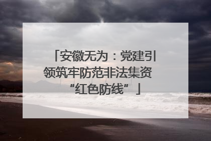安徽无为：党建引领筑牢防范非法集资“红色防线”