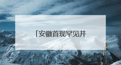 安徽首现罕见并蒂睡莲 概率仅为百万分之一