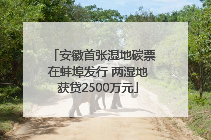安徽首张湿地碳票在蚌埠发行 两湿地获贷2500万元