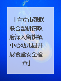 宜宾市残联联合留耕镇政府深入留耕镇中心幼儿园开展食堂安全检查