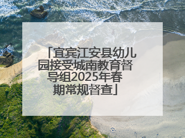 宜宾江安县幼儿园接受城南教育督导组2025年春期常规督查