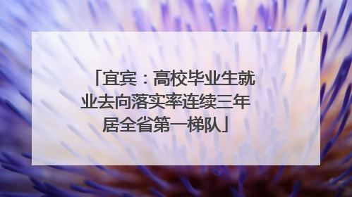宜宾：高校毕业生就业去向落实率连续三年居全省第一梯队